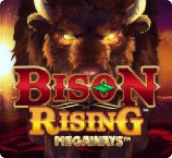 Bison Rising